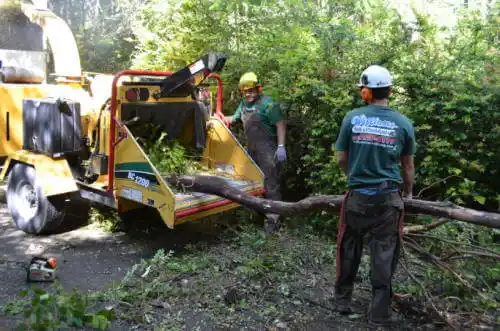 tree services Hurtsboro